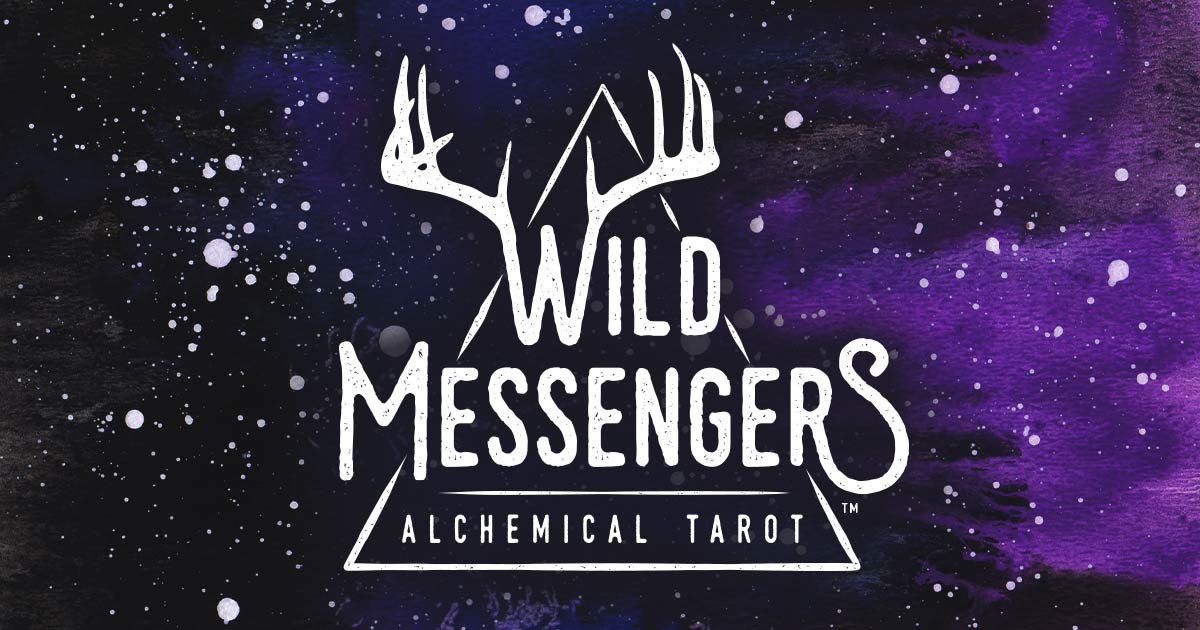 wild-messengers-fb-seo-graphic